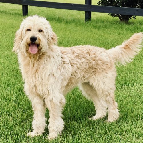 {"data":{"region":"US","appVersion":"16.8.0","capability_name":"capcut_photo_editor,ai_photo_editor","os":"ios","editType":"image_edit","pictureId":"33E1FF1C-3D78-4E27-95CF-B82ABDB456D0","enterFrom":"edit_tool","source_platform":"mobile_1","product":"vicut","source_type":"vicut","client_key":"aw889s25wozf8s7e"},"source_type":"vicut","tiktok_developers_3p_anchor_params":"{"source_type":"vicut","os":"ios","appVersion":"16.8.0","source_platform":"mobile_1","enterFrom":"edit_tool","product":"vicut","region":"US","capability_name":"capcut_photo_editor,ai_photo_editor","client_key":"aw889s25wozf8s7e","editType":"image_edit","pictureId":"33E1FF1C-3D78-4E27-95CF-B82ABDB456D0"}"}