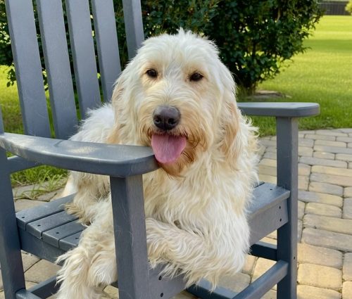 {"source_type":"vicut","tiktok_developers_3p_anchor_params":"{"source_type":"vicut","appVersion":"16.8.0","os":"ios","product":"vicut","client_key":"aw889s25wozf8s7e","enterFrom":"edit_tool","source_platform":"mobile_1","region":"US","editType":"image_edit","pictureId":"5876C574-9A7A-4BA7-AE72-1BBE7EA1C56D","capability_name":"capcut_photo_editor,ai_photo_editor"}","data":{"capability_name":"capcut_photo_editor,ai_photo_editor","region":"US","editType":"image_edit","enterFrom":"edit_tool","source_type":"vicut","appVersion":"16.8.0","client_key":"aw889s25wozf8s7e","source_platform":"mobile_1","product":"vicut","os":"ios","pictureId":"5876C574-9A7A-4BA7-AE72-1BBE7EA1C56D"}}