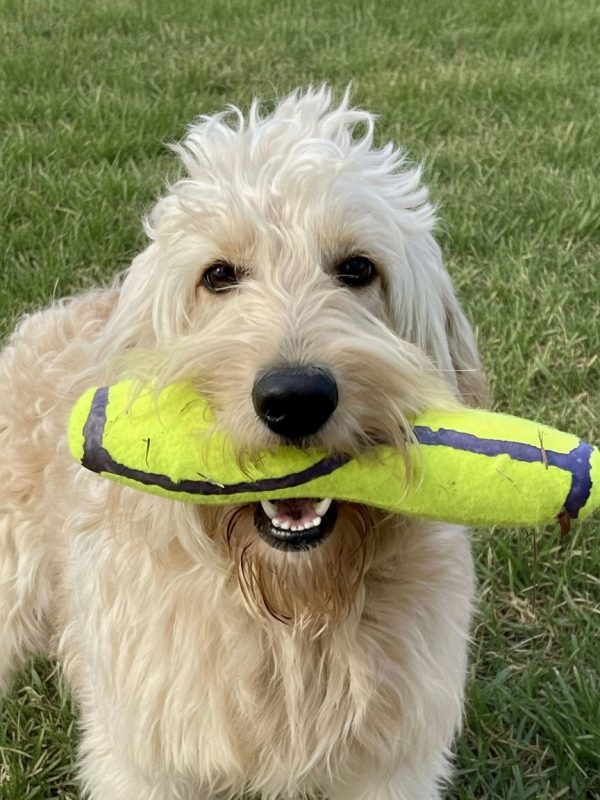 {"tiktok_developers_3p_anchor_params":"{"source_platform":"mobile_1","capability_name":"ai_photo_editor,capcut_photo_editor","editType":"image_edit","pictureId":"8B833712-6F8F-4F86-9BDD-A8E7F2DBB179","enterFrom":"edit_tool","product":"vicut","source_type":"vicut","os":"ios","client_key":"aw889s25wozf8s7e","appVersion":"16.8.0","region":"US"}","source_type":"vicut","data":{"region":"US","source_type":"vicut","source_platform":"mobile_1","capability_name":"ai_photo_editor,capcut_photo_editor","editType":"image_edit","product":"vicut","os":"ios","client_key":"aw889s25wozf8s7e","appVersion":"16.8.0","enterFrom":"edit_tool","pictureId":"8B833712-6F8F-4F86-9BDD-A8E7F2DBB179"}}