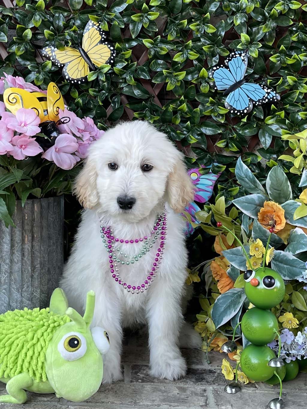 "Garden Bunnies" Collar - GirlAVAILABLE