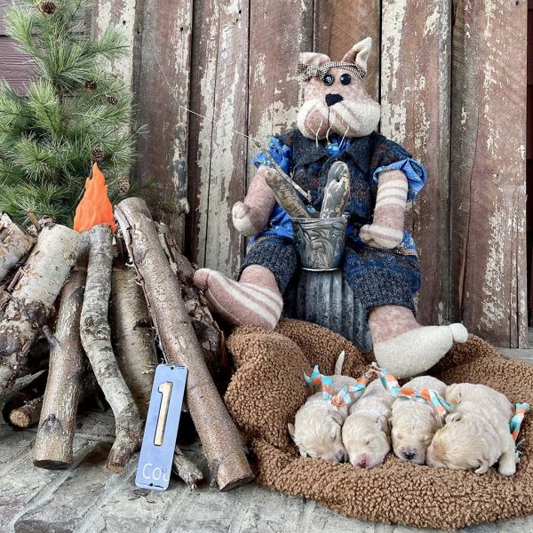 Hooked on the Outdoors _ boys