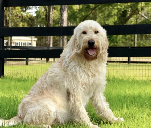 {"data":{"region":"US","editType":"image_edit","appVersion":"16.8.0","source_type":"vicut","capability_name":"capcut_photo_editor,ai_photo_editor","client_key":"aw889s25wozf8s7e","product":"vicut","source_platform":"mobile_1","enterFrom":"edit_tool","pictureId":"8AA5906B-1CBA-426A-9139-85F6C0DADFC5","os":"ios"},"source_type":"vicut","tiktok_developers_3p_anchor_params":"{"product":"vicut","region":"US","appVersion":"16.8.0","editType":"image_edit","os":"ios","enterFrom":"edit_tool","source_type":"vicut","source_platform":"mobile_1","pictureId":"8AA5906B-1CBA-426A-9139-85F6C0DADFC5","capability_name":"capcut_photo_editor,ai_photo_editor","client_key":"aw889s25wozf8s7e"}"}