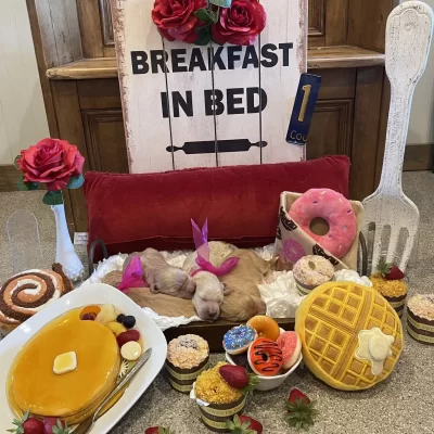 breakfast-in-bed-week-one-theme-photo-1371x1536.jpg